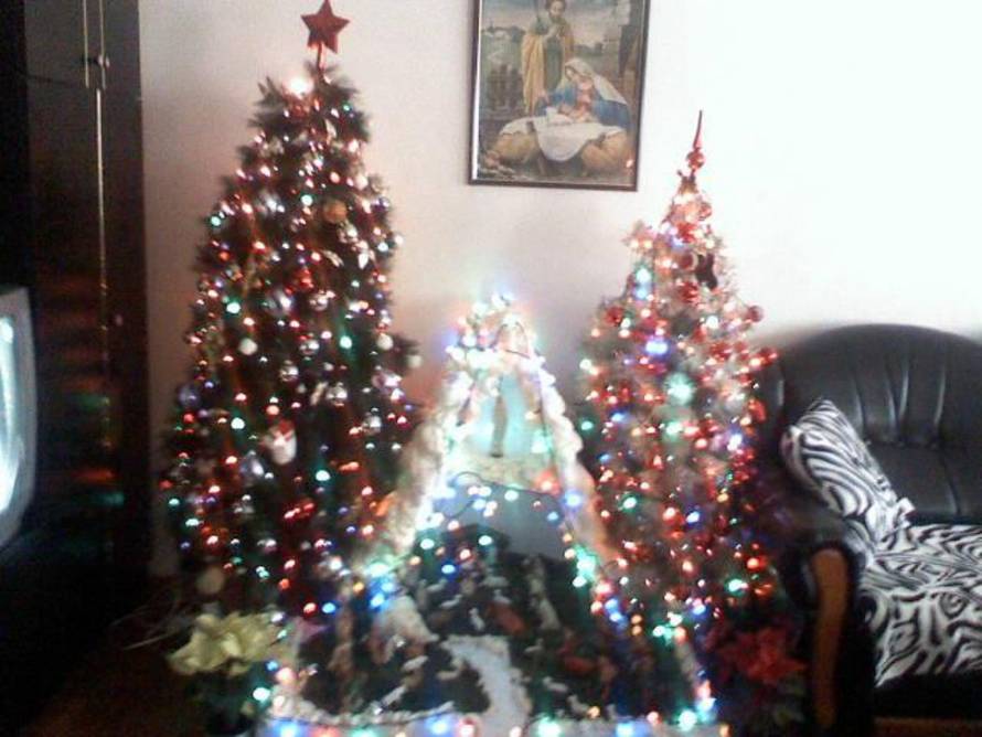 Šaljite fotografije božićnih jelki i osvojite vrijednu nagradu...