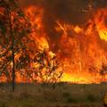U Australiji divljaju požari: Uništeno najmanje 150 domova