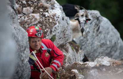 HGSS-ovci uspješno spasili koze 'alpinistice': Nisu toliko spretne