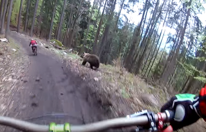Pojavio se niotkud: Medvjed sa staze otjerao dvojicu biciklista