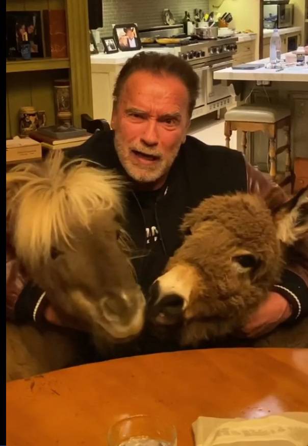 Schwarzenegger hrani ponije u svom domu: 'Ne izlazimo van'