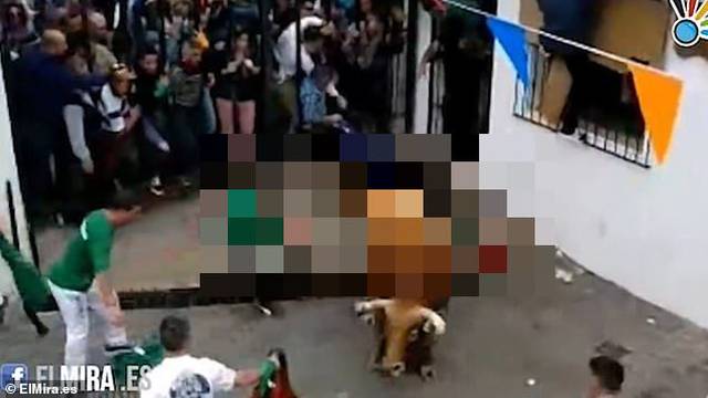 Strava na festivalu u Cadizu: Bik mu probio pluća i ubio ga