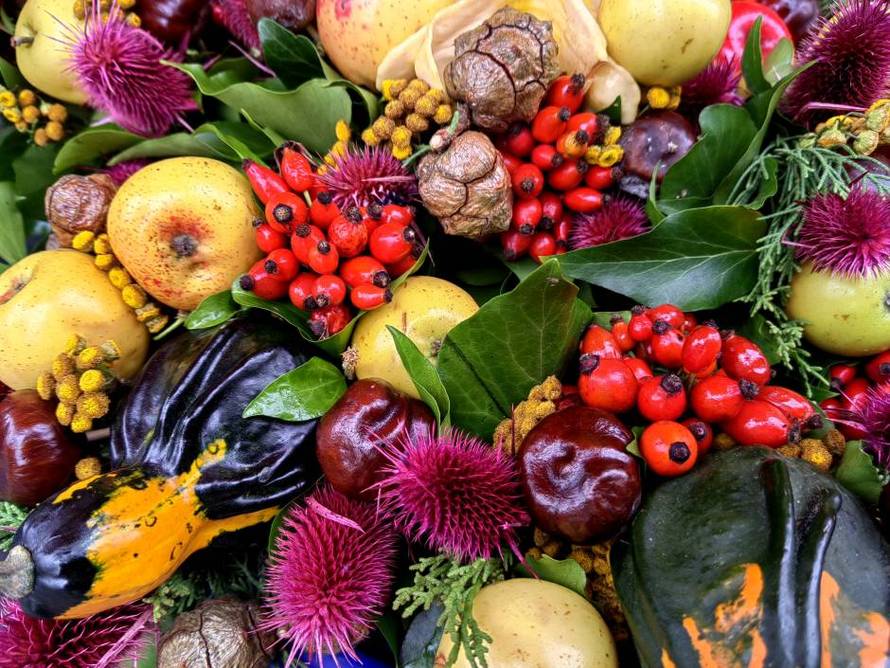 Goran Jović savjetuje kako uslikati fotografiju punu boja