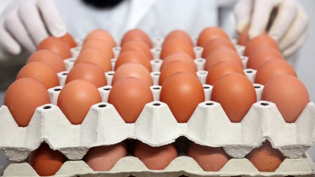 Dvojica uhićena u Nizozemskoj zbog insekticida u jajima