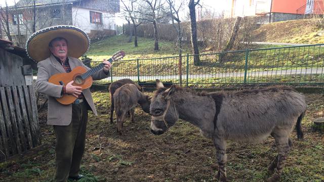 Kada vide 'Babaluja', magarci samo žele da im pjeva pjesme