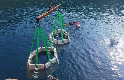 Prvi umjetni podmorski greben na Kvarneru postavili na Cresu