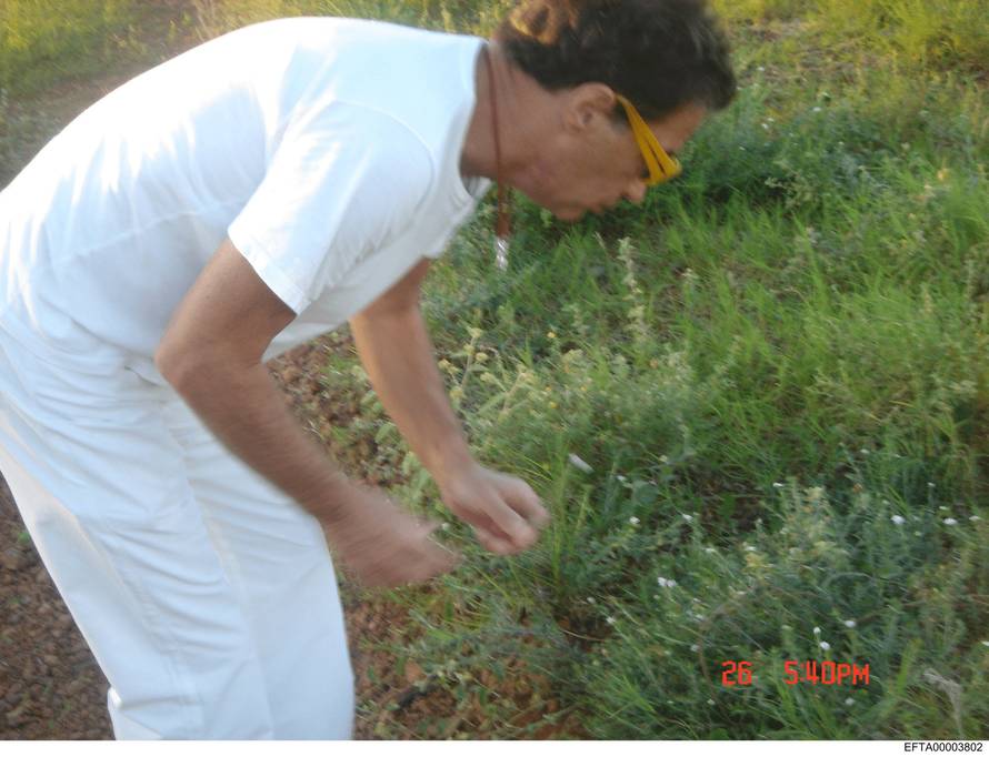 Ruskinje, privatni letovi, party na otoku: Ovako je Epstein gradio svoju mrežu sa slavnima