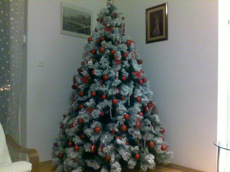 Šaljite fotografije božićnih jelki i osvojite vrijednu nagradu...