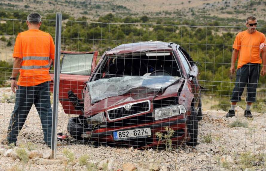 Hrvoje Jelavić/PIXSELL