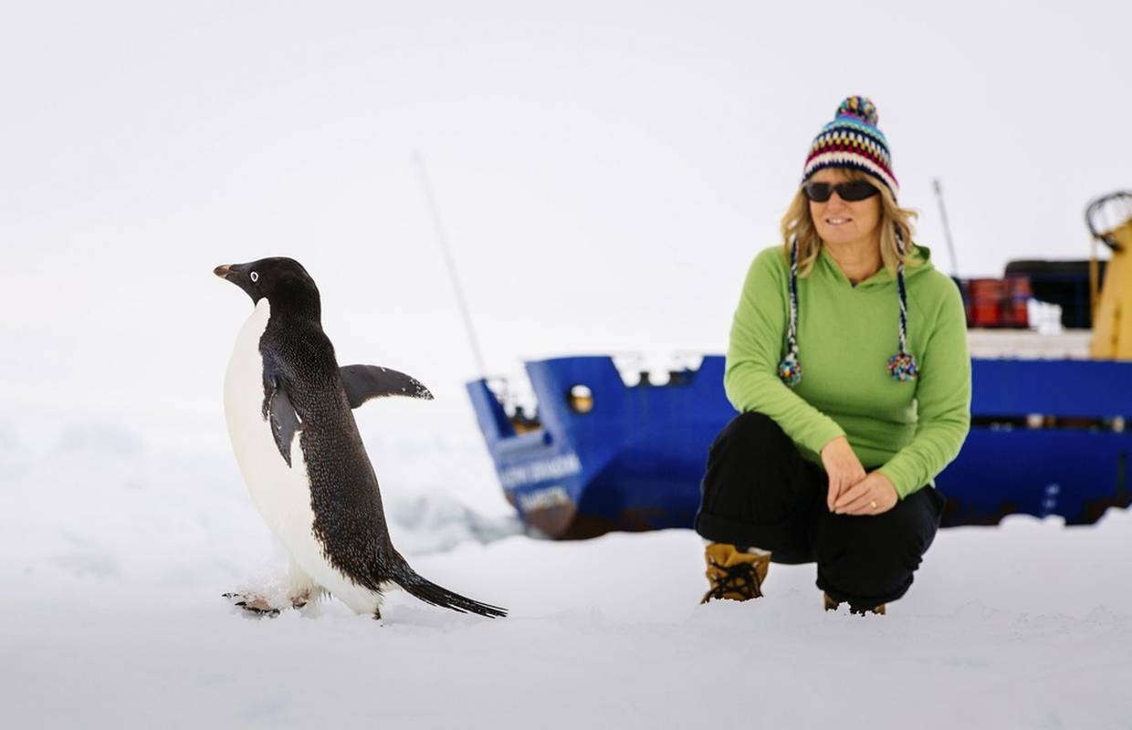 Ledena turistička meka: Put na Antarktiku sve je popularniji