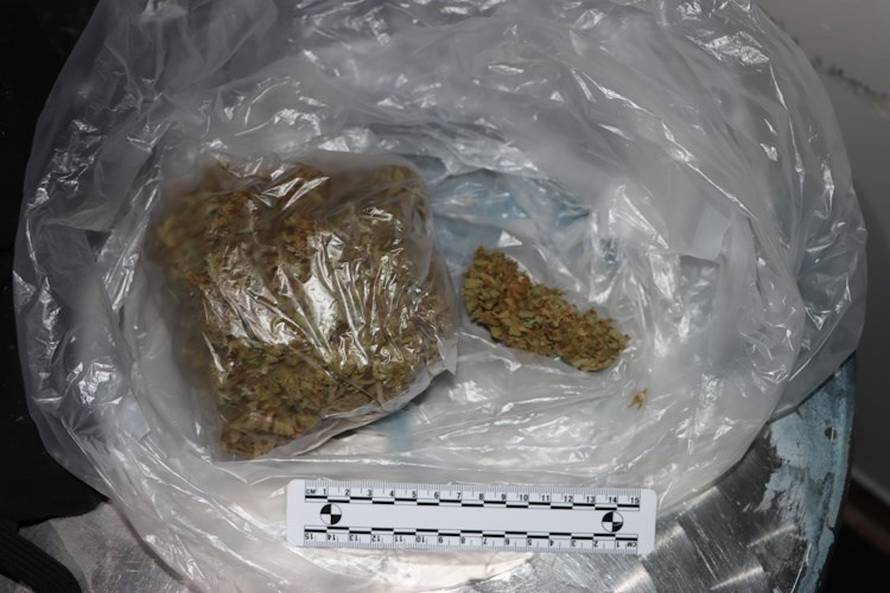 FOTO 'Pao' diler iz Dugog Sela: Umjesto povrća u plasteniku je uzgajao veće količine 'trave'