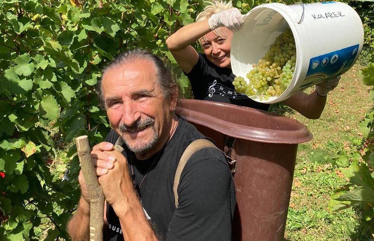 Bebek je pokazao kako izgleda berba grožđa, pomagala i žena