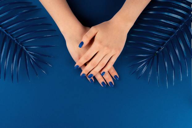 Female hands with manicure of classic blue color on blue background