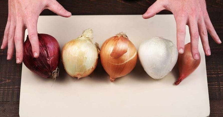 Većina ljudi pogrešno priprema luk - nisu sve vrste za sva jela
