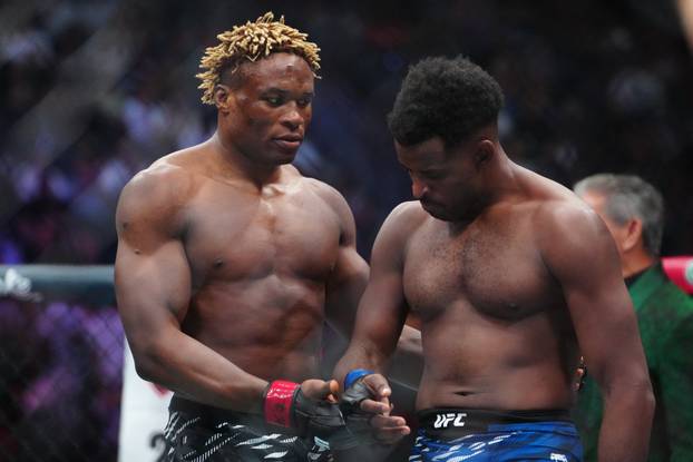 MMA: UFC 320 - Gautier vs Vines