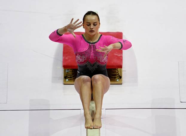 2025 World Artistic Gymnastics Championships