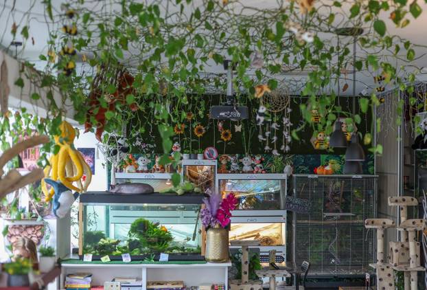 Zagreb: Emilija i Amer Alaydi otvorili su kafić Animal caffe