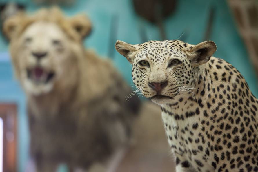 Nitko ne želi trofeje riječkog tajkuna: Djecu su užasavali...