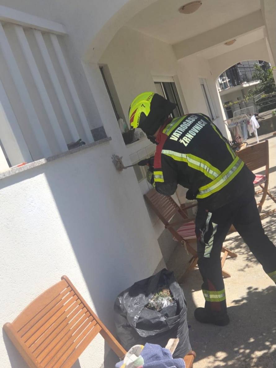 Vatrogasci kod Splita spašavali mačku: 'Ovo još nismo vidjeli...'