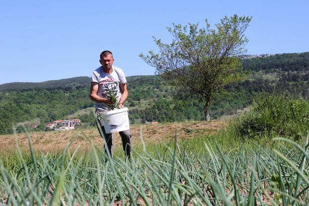 24sata Mu&cacute;: Zdenko Jeli&ccaron;i&cacute; donator povr&cacute;a