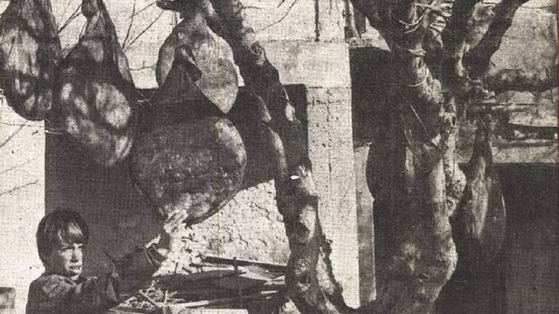 Čuvari pršuta dežurali dok pršut ne dobije malo 'friške arije'