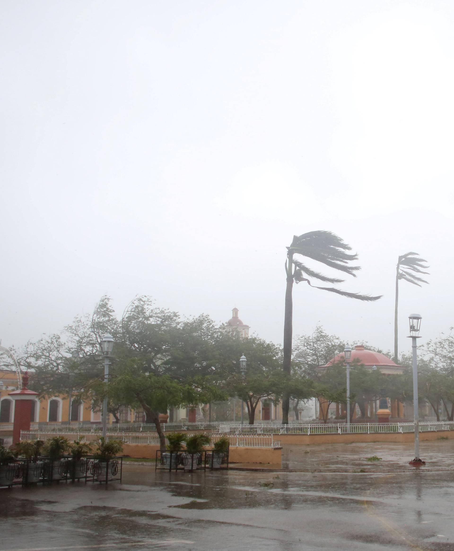 Trees sway in the wind at the main square as Hurricane Irma passes by Remedios