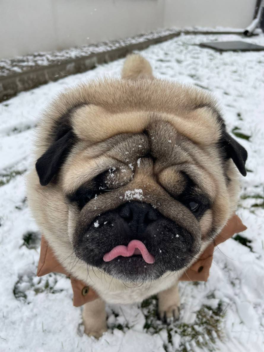 Općinska komunalka sama 'izlopatala' snijeg sa staze: 'Nema nikakve drame u tome'