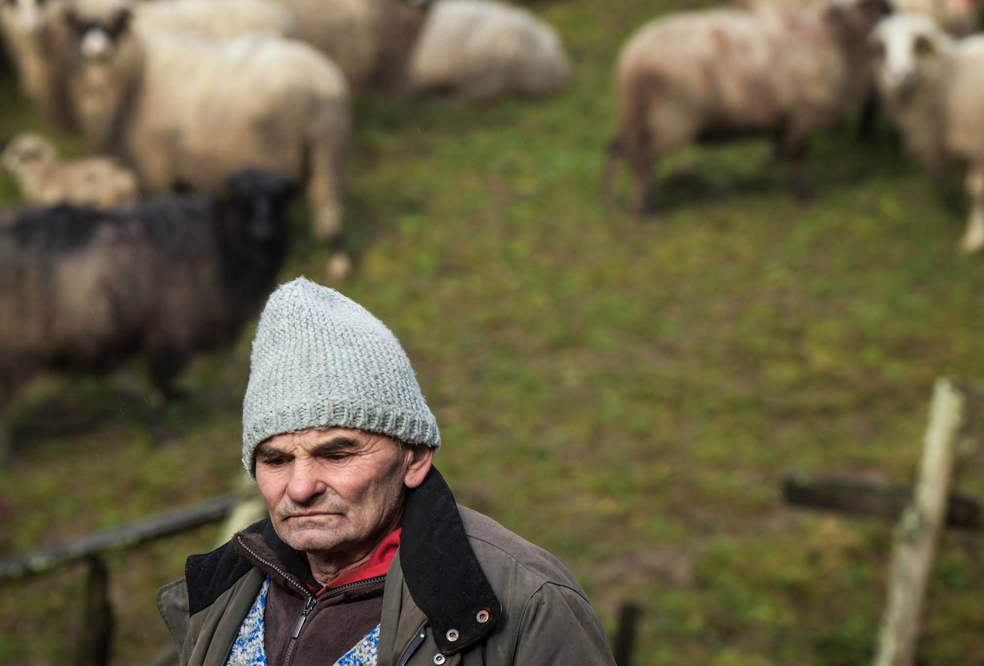 Upoznajte pastira Josu i njegove ovčice: 'Srećom, kuća mi je ostala čitava u potresu'