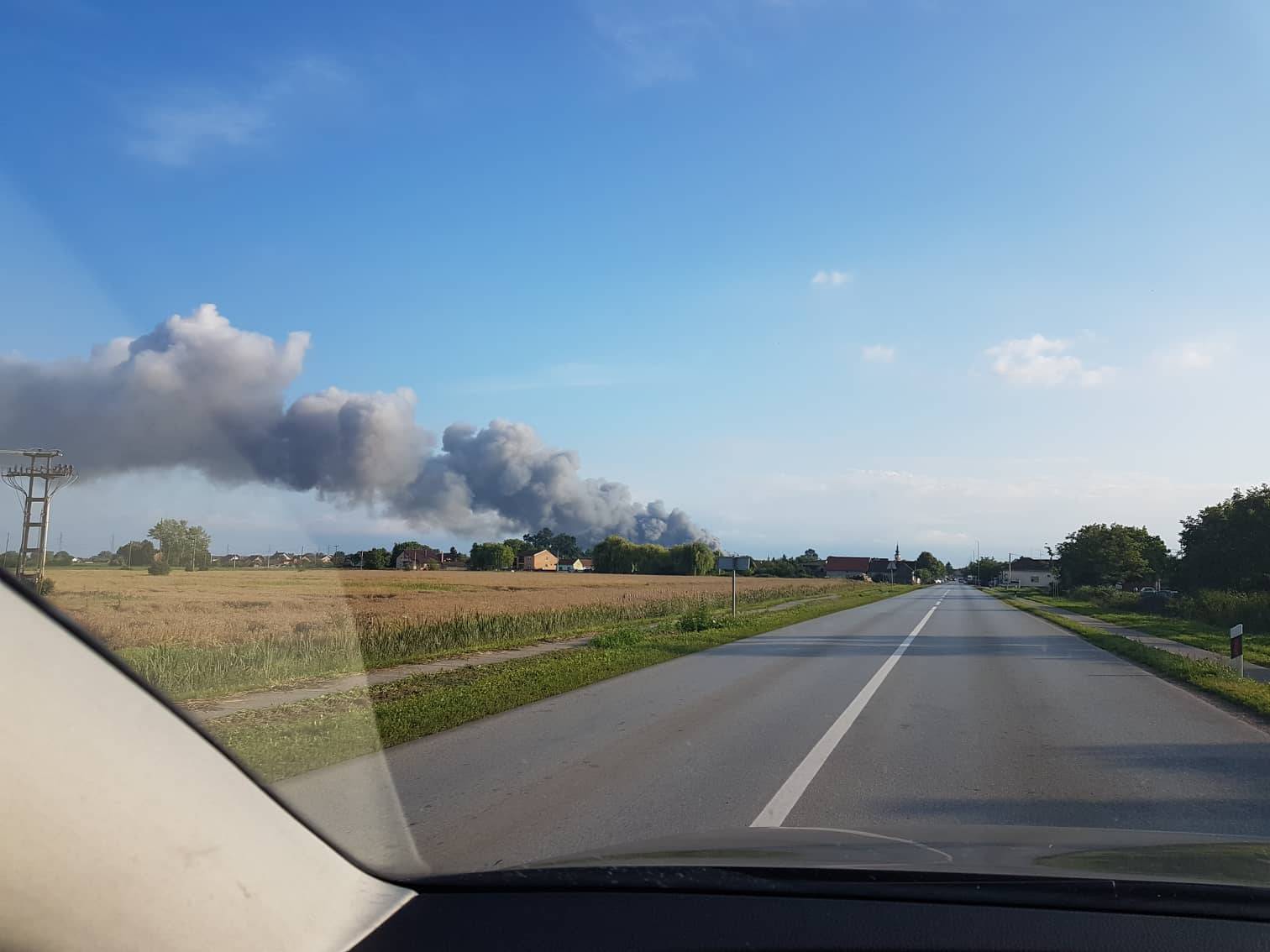 Izgorjelo 1000 svinja na farmi? Veliki požar su gasili do jutra