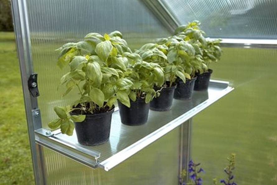 Plastenik od polikarbonata ili folije: Koji se stvarno isplati?