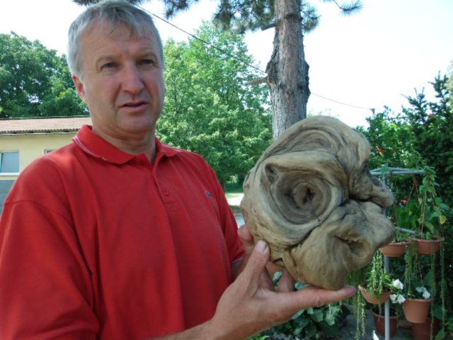 Zinka Čižmešija/24sata