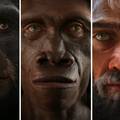 Pogledajte u kratkom videu kako se ljudsko lice mijenjalo od majmunolikog do modernog