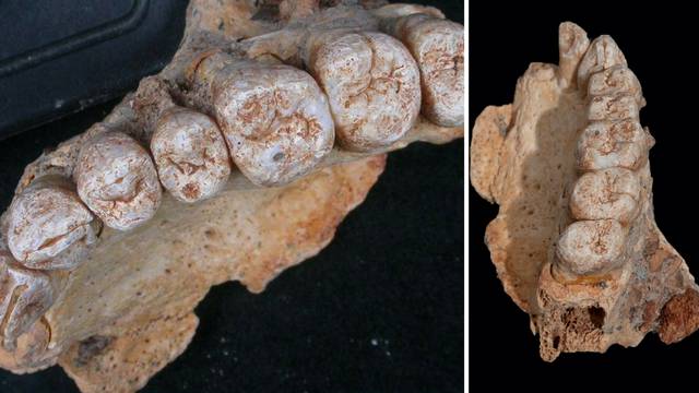 Najstariji tragovi ljudi otkrili: Puno ranije otišli smo iz Afrike