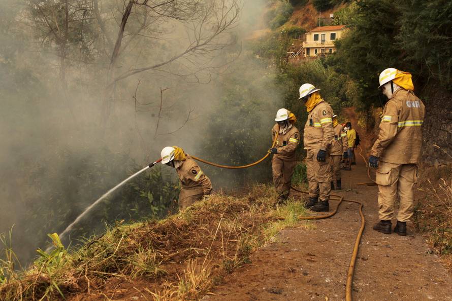 Firefighters try to extinguish a forest fire near houses at Sao Joao Latrao, Funchal, Madeira island