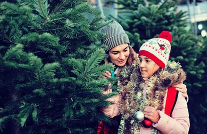 Božićno drvce puno je buba, pa ga na ulazu istresite i usisajte