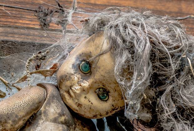 Enter Mexico's haunted 'Island of the Dolls' if you dare: Thousands of creepy toys hang from the trees to quell the tormented screams of a ghost of a little girl who drowned there