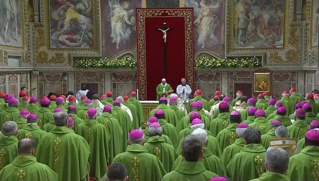 Pope Francis is seen during the last day of the four-day meeting on the global sexual abuse crisis, at the Vatican