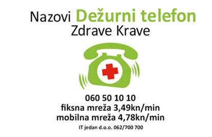 Imaš problem? Nazovi Dežurni telefon i zatraži brzi savjet!