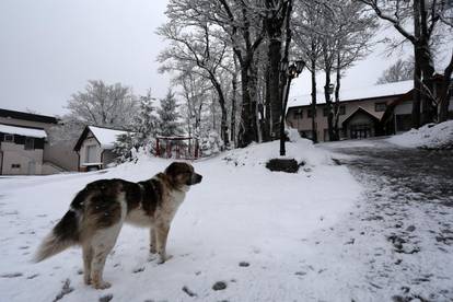 Snježni Uskrs: U Delnicama pao snijeg, a fotografije su čarobne