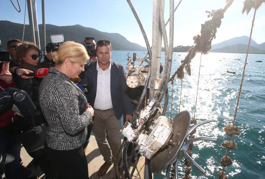 'Pelješki most bit će izgrađen najkasnije do 2023. godine...'