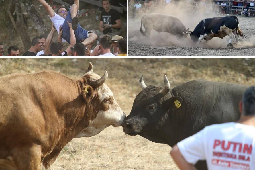 Bikijada u Šestanovcu: 'Nije ovo maltretiranje životinja, to su priče za  djecu, njima je odlično'