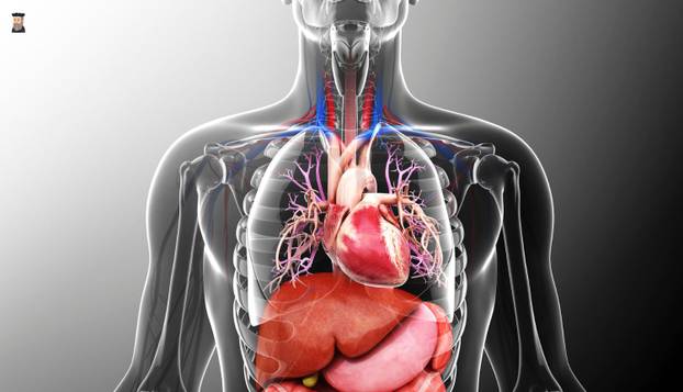 FOTO Jeziva Nostradamusova proročanstva: 'Vraća se drevna kuga, dolazi novi Antikrist...'