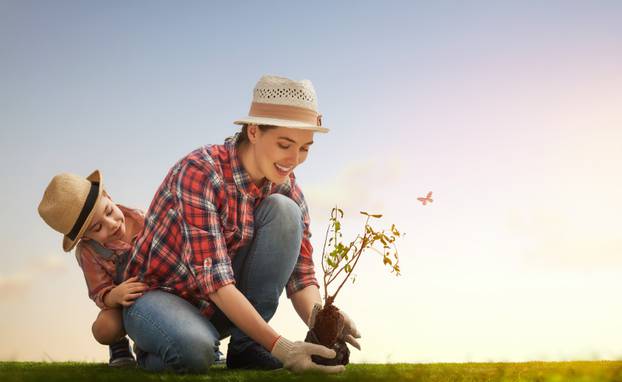 Mom and her child girl plant sapling tree. Spring concept, natur