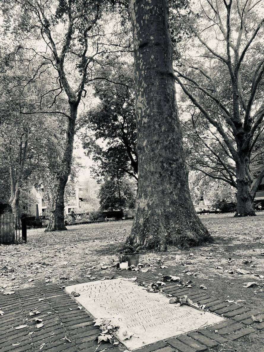 Devetnaest godina pod istim stablom: U Zagreb stiže 'The Tree Knew' Maje Vržine