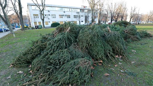 Zagreb: Veliki broj odbačenih božićnih drvaca na Trgu dr. Franje Tuđmana