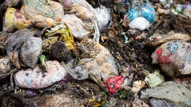 City cleaners control organic bins