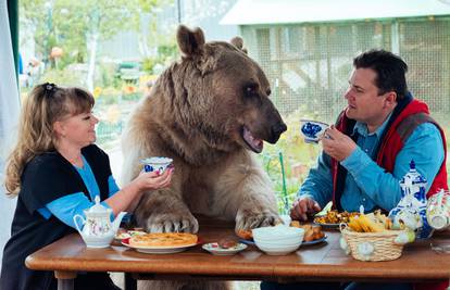 Udomili su ga: Medvjed s njima jede i na kauču  gleda televiziju