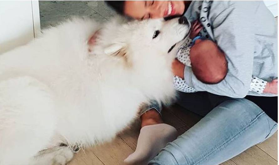 'Ivanišević traži novu kuću jer se gužvaju Nives, sin Oli i pas'