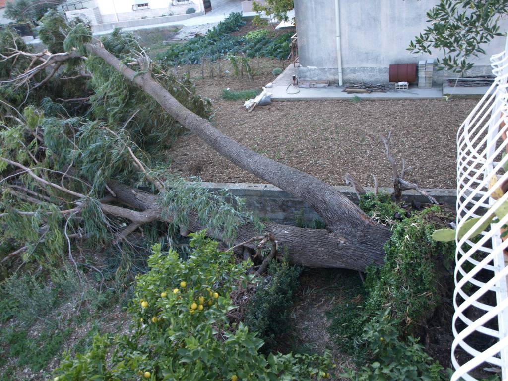 Olujni je vjetar rušio stabla i potapao barke u Dubrovniku