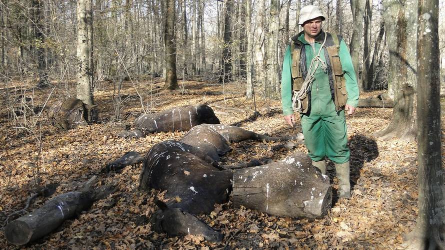 Željko Grgurinović/24sata